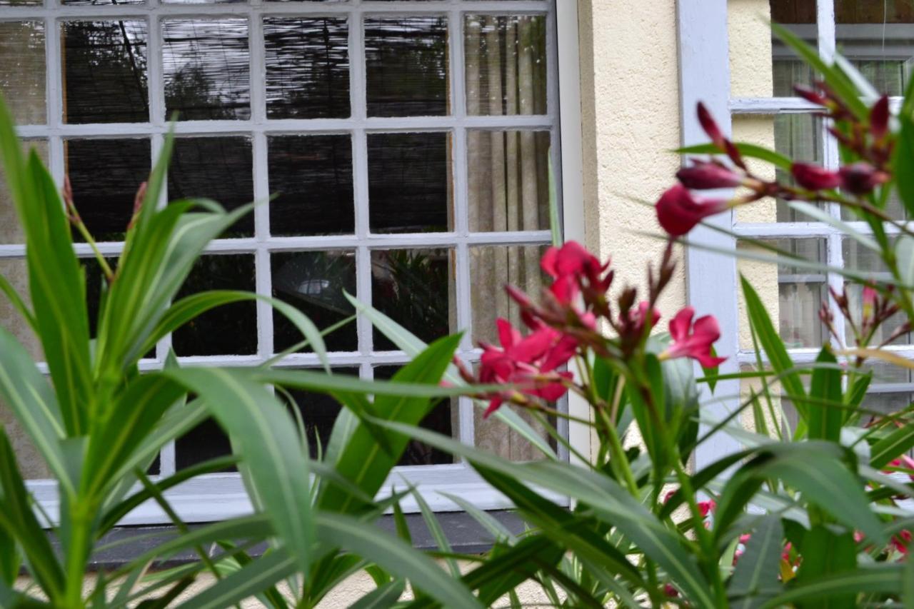 Maison D'Hotes La Chouanniere Bed and Breakfast Les Bois-d'Anjou Exteriör bild