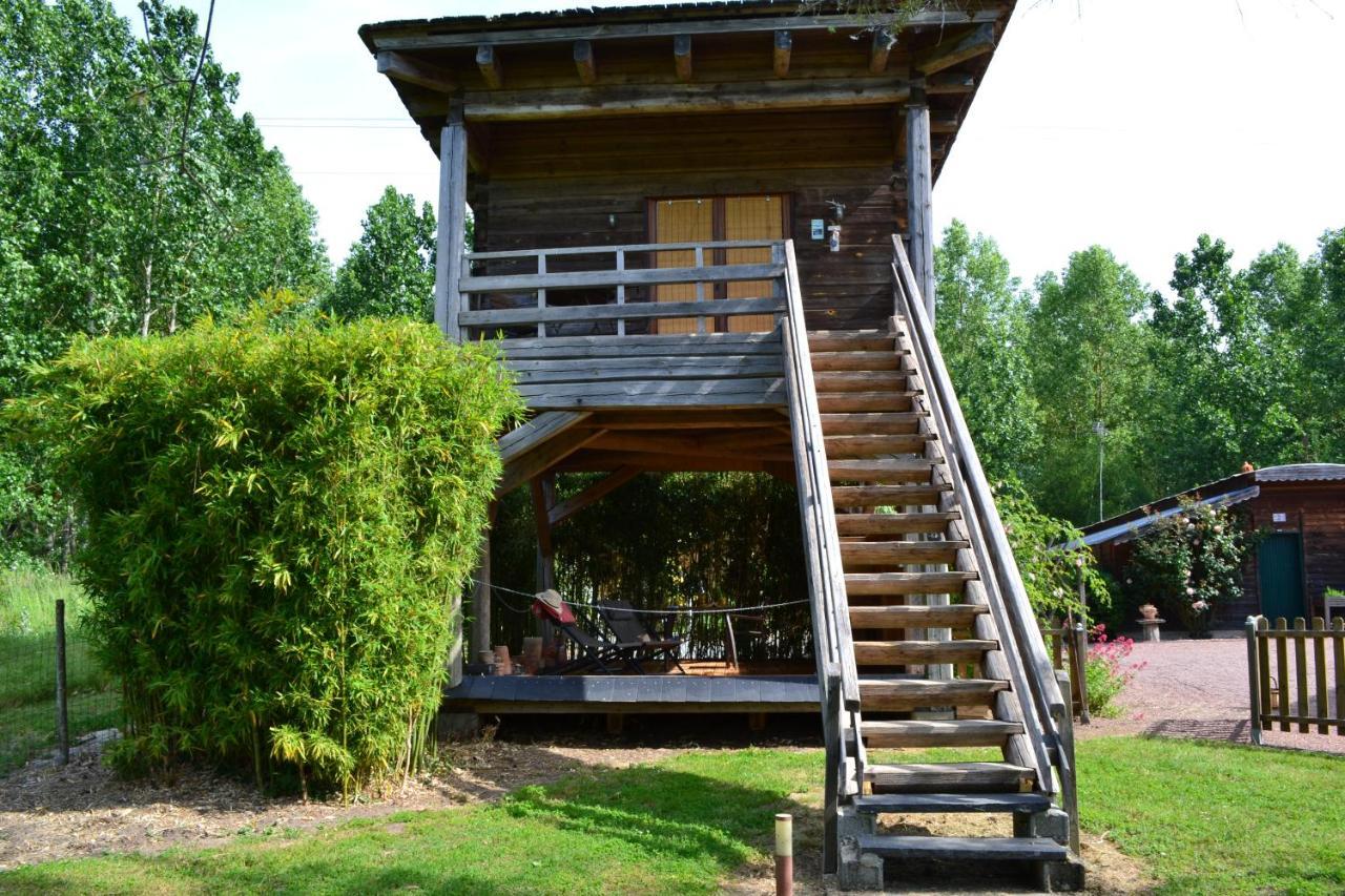 Maison D'Hotes La Chouanniere Bed and Breakfast Les Bois-d'Anjou Exteriör bild